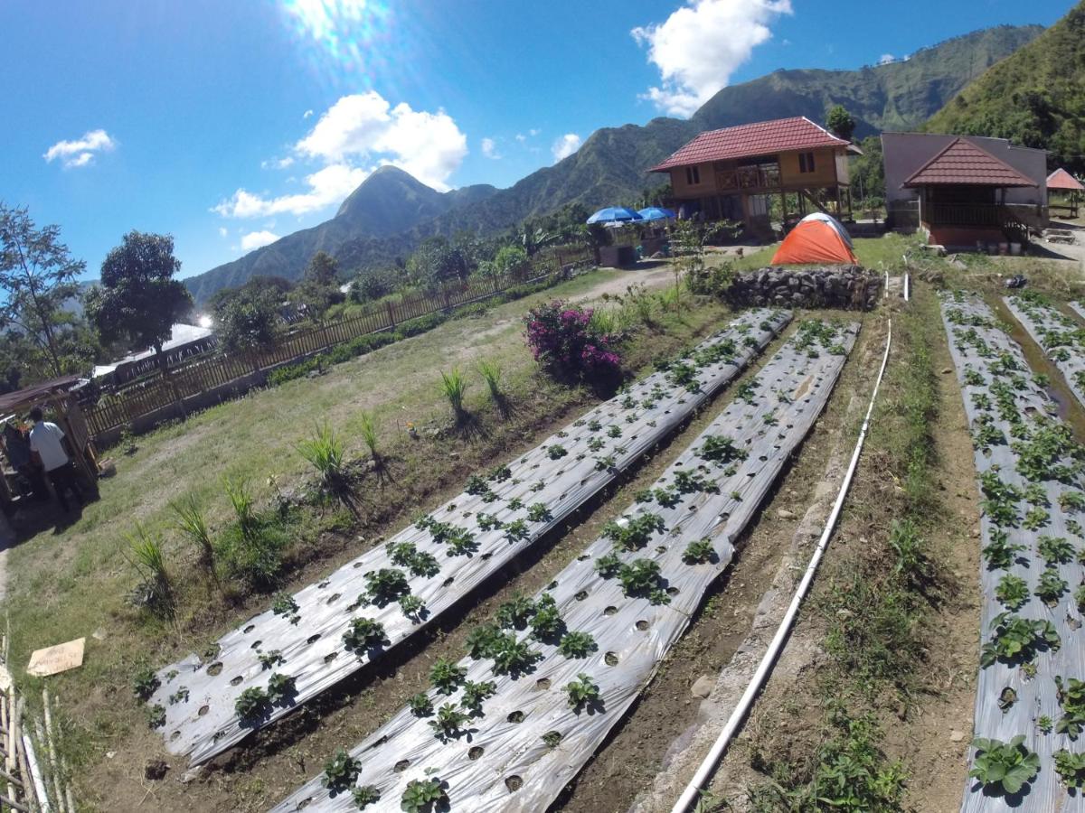 Bale Sembahulun Cottages & Tend - Housity