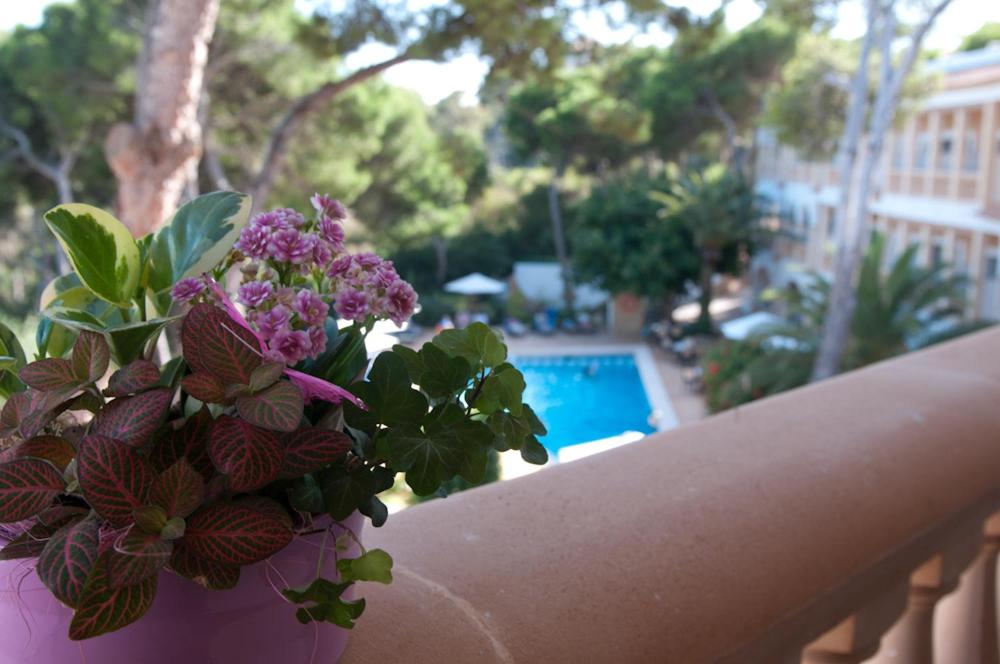 Piscina en o cerca de Hotel Cala Gat