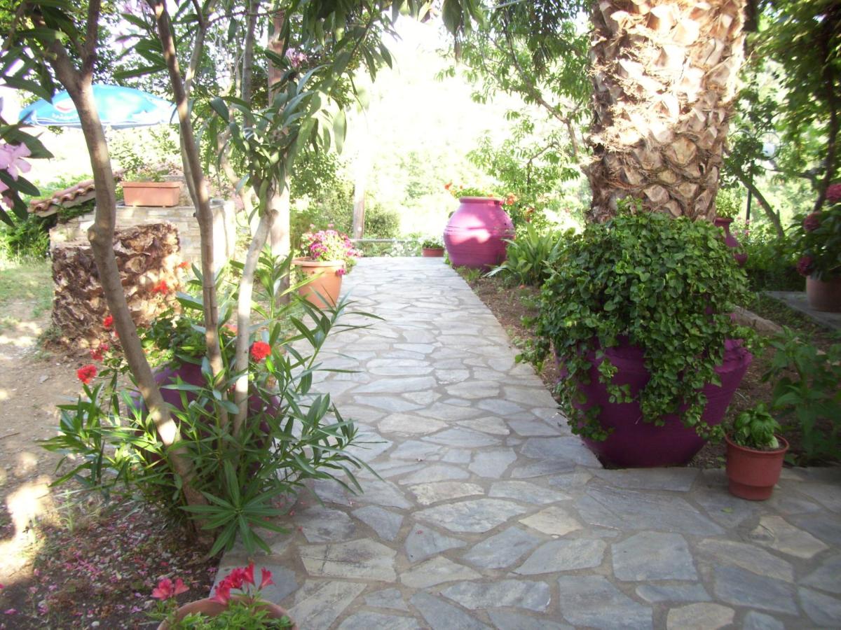 Hotel Elytis - Housity