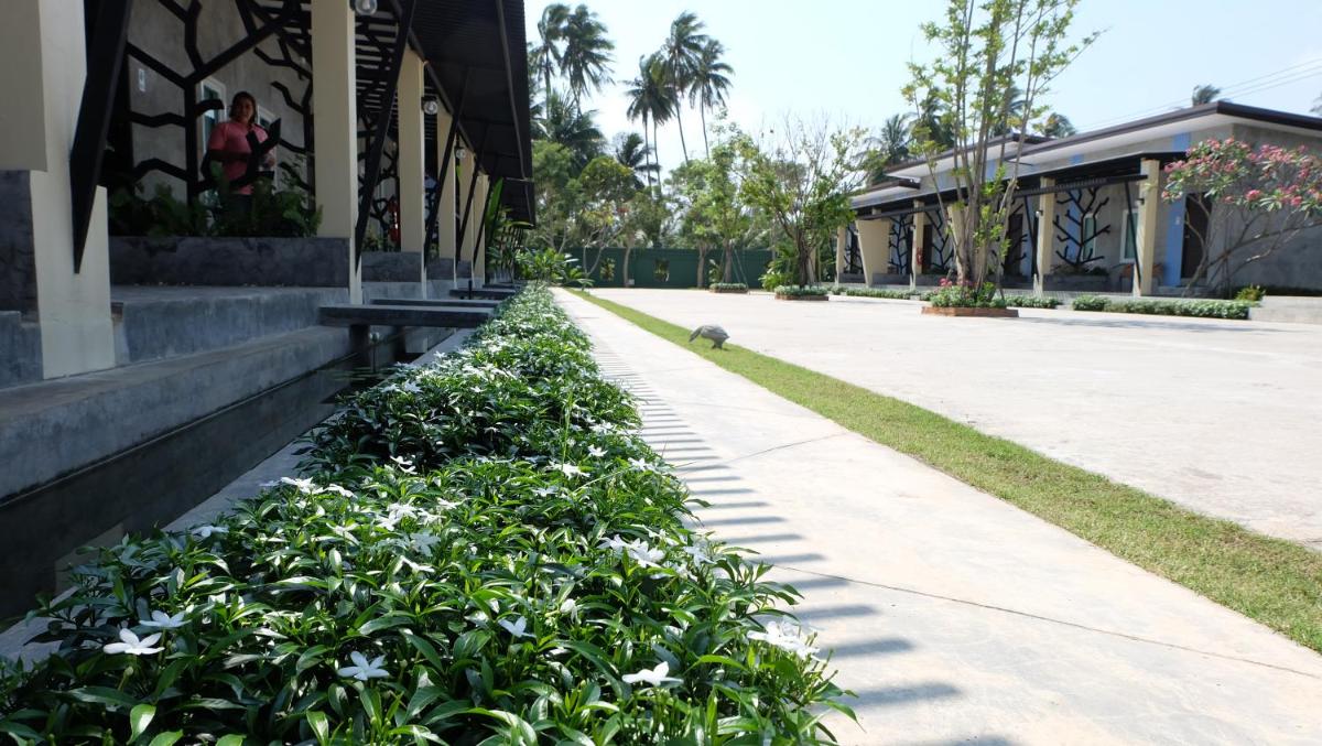 Lullaby Boutique Resort - Housity