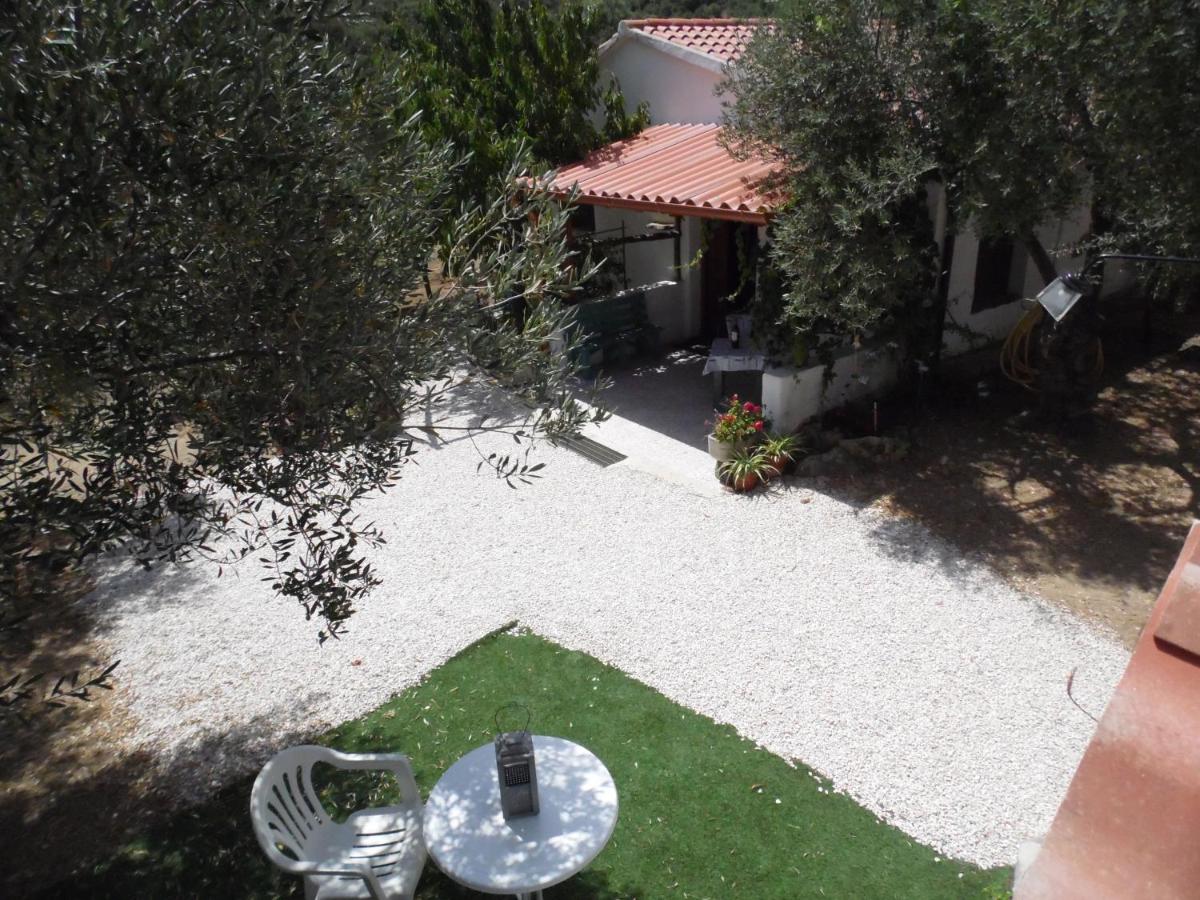 Villa L'Oliveto - Housity