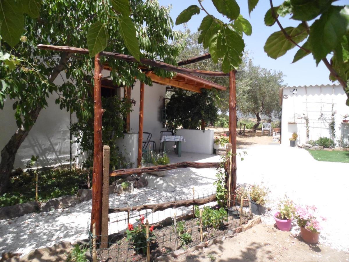 Villa L'Oliveto - Housity