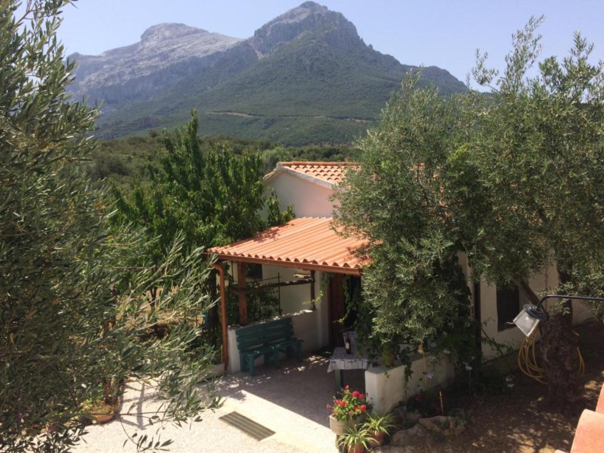 Villa L'Oliveto - Housity