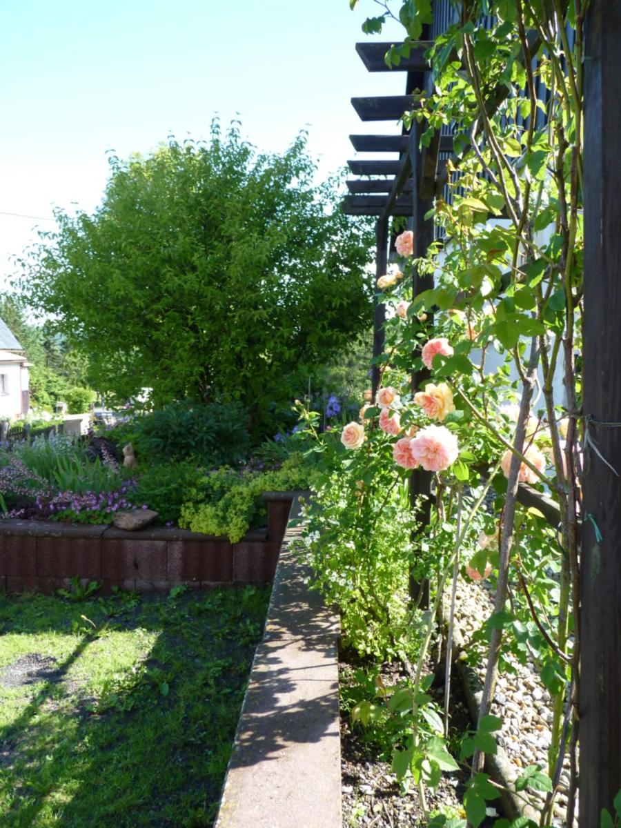 Ferienwohnung-Kubis - Housity