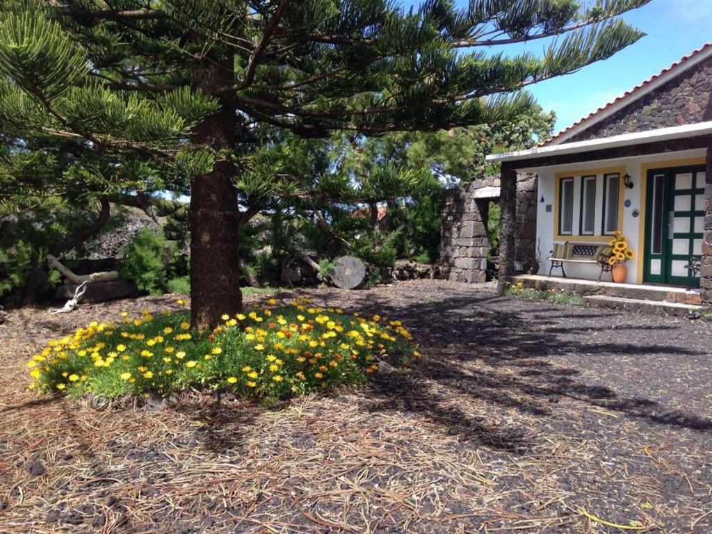 Casa da Costa - Housity