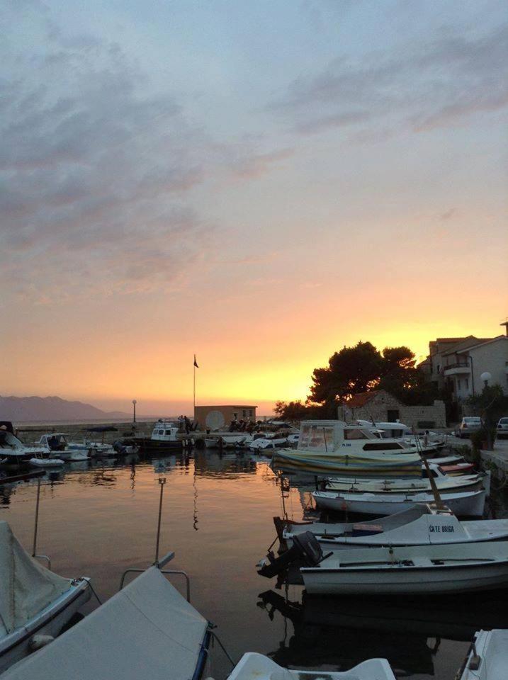 Vacation home Andrea - Housity