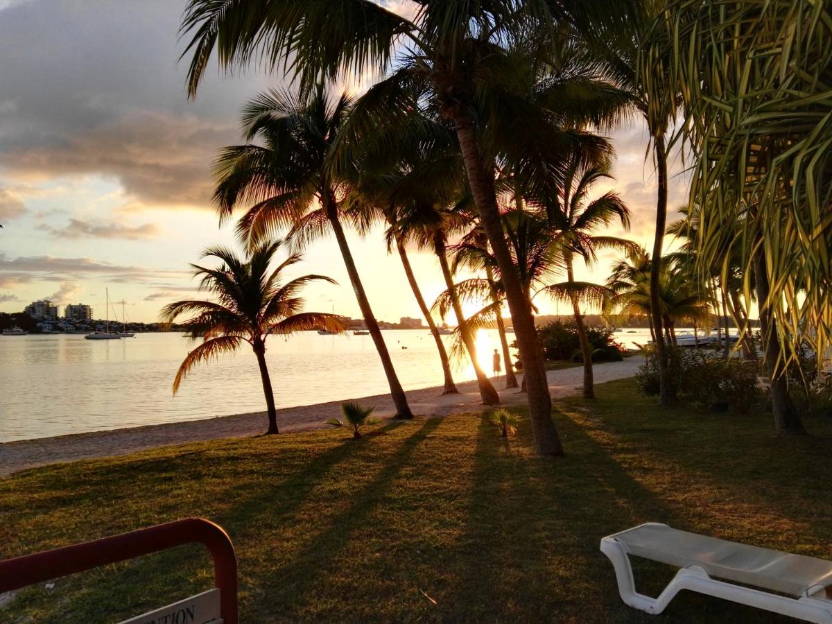 Paradise01 - Housity