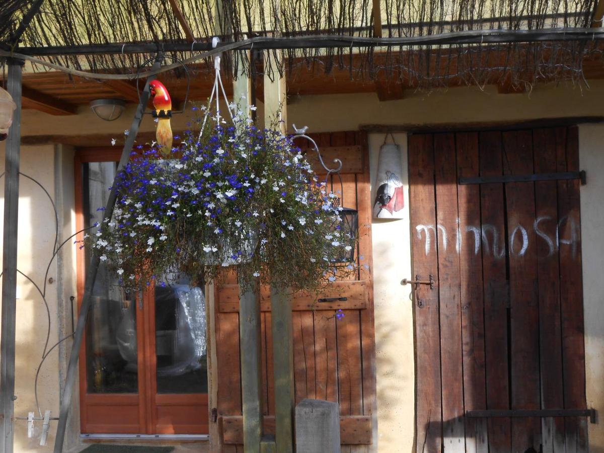 Arie Chez Mimosa - Housity