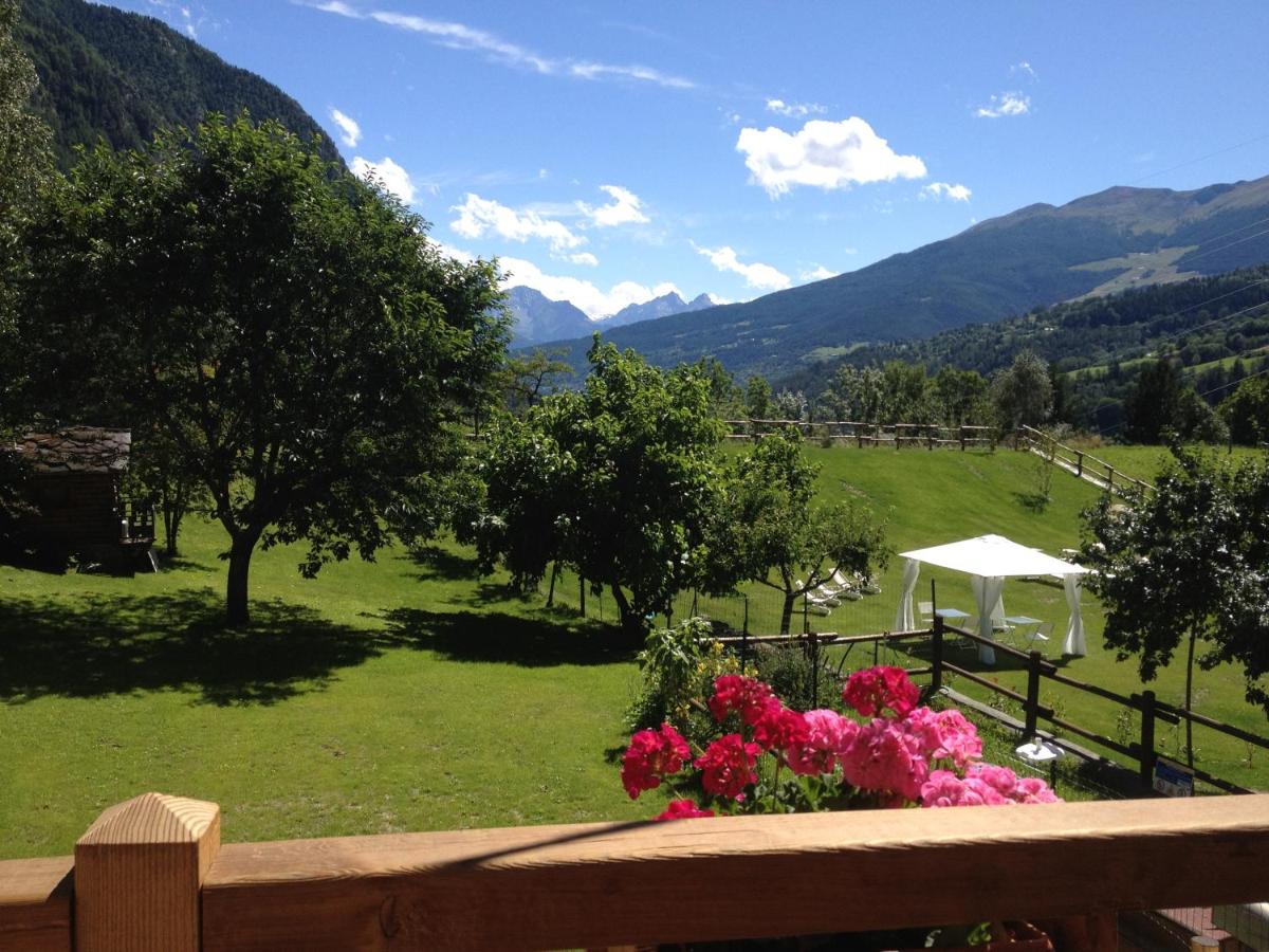 Le Petit Relais - Housity