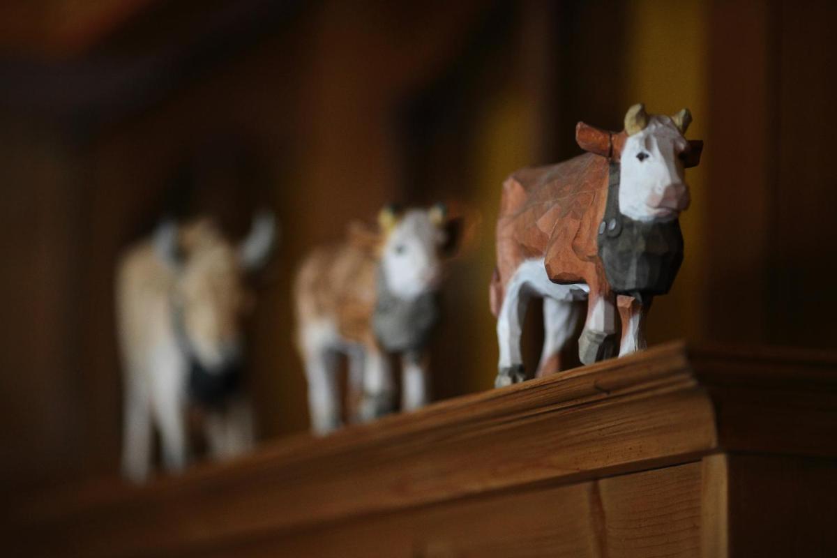 Animaux dans l'hôtel ou à proximité