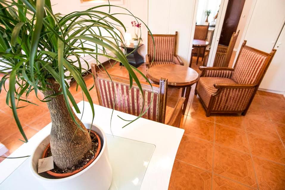 Luna apartment - Housity