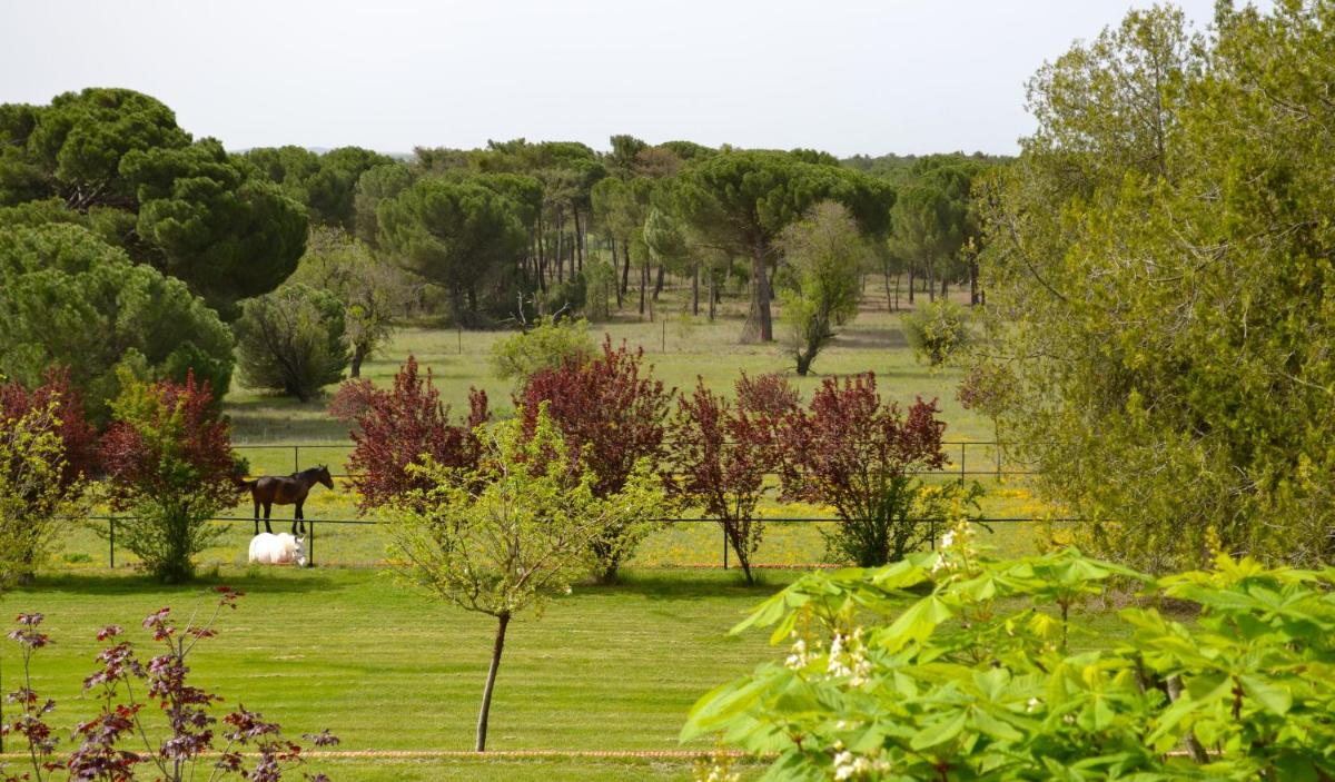 Posada Real del Pinar - Housity
