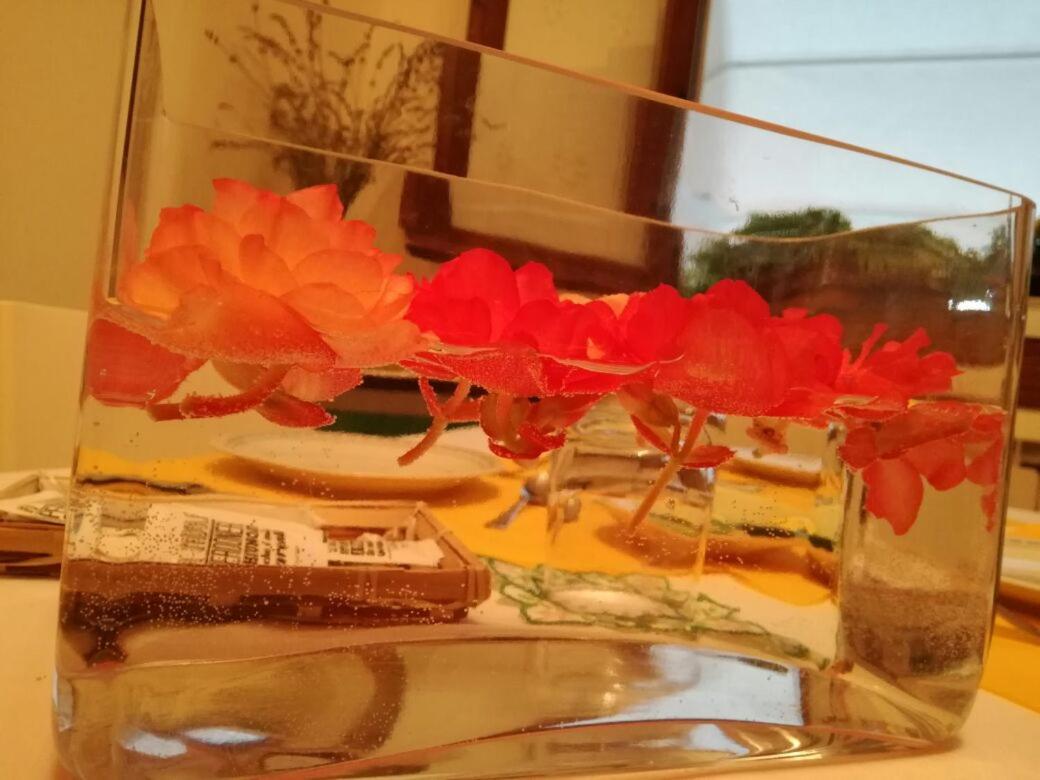 B&B Morosini - Housity