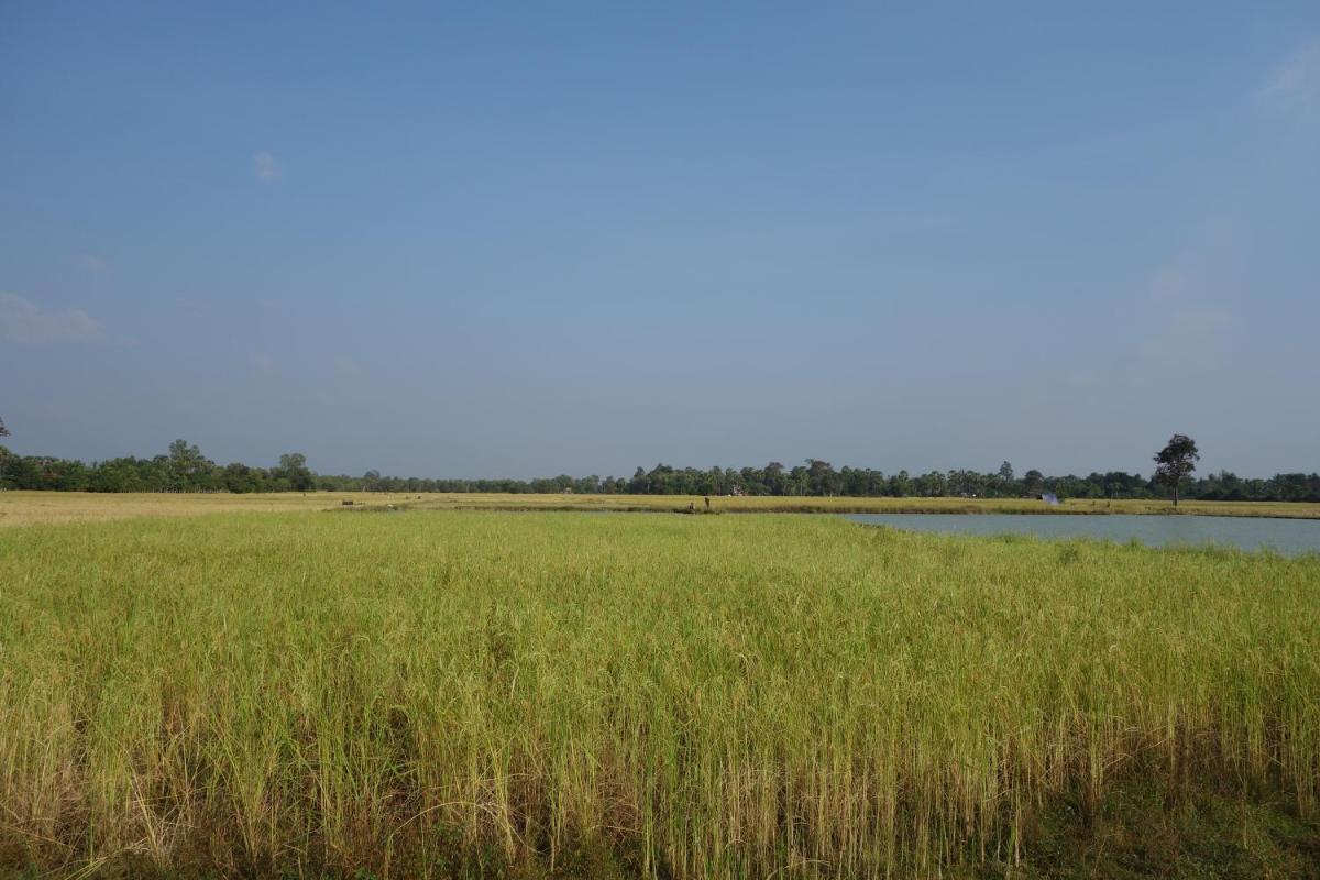 Authentic Cambodian Angkor Cottage - Housity