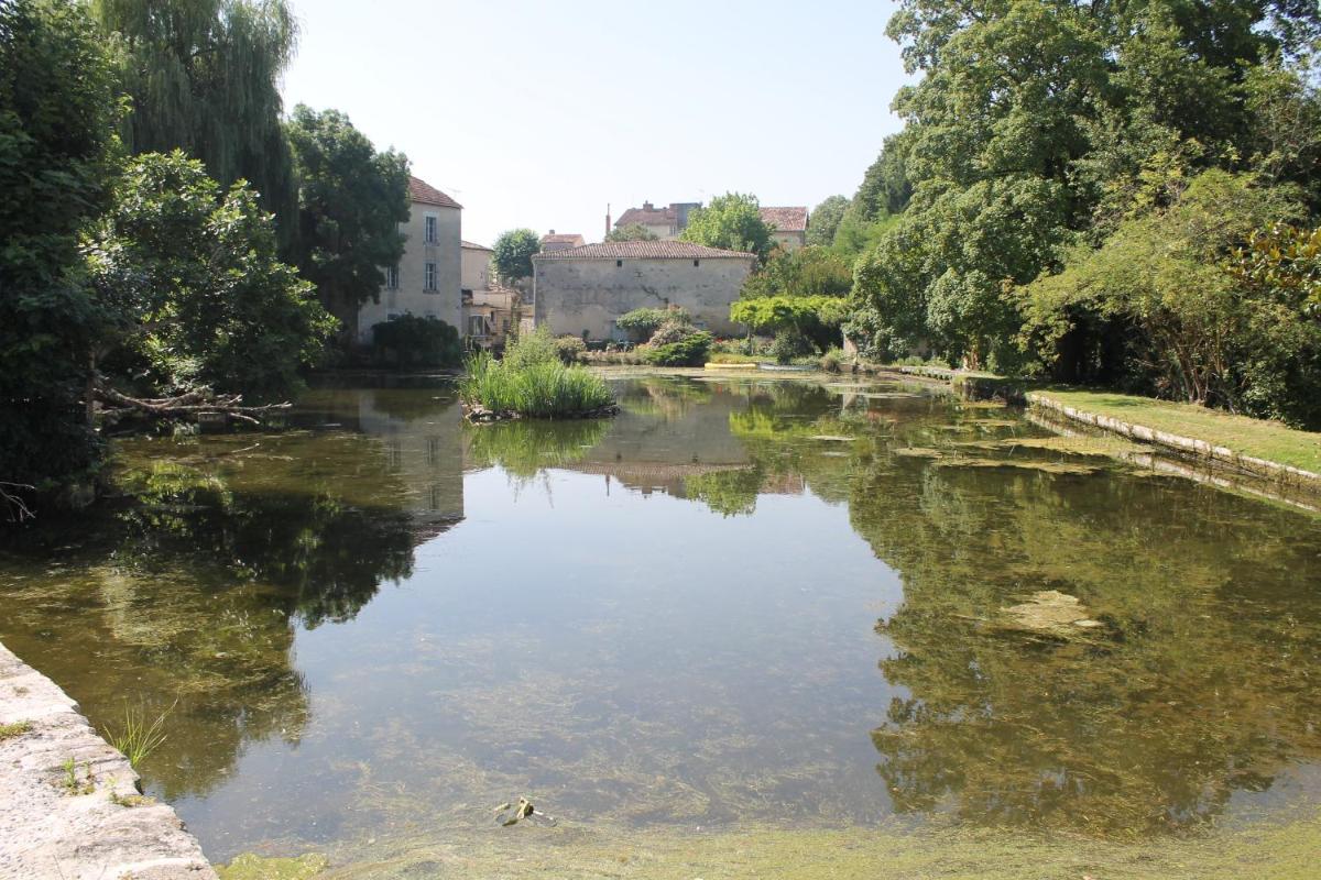 Suitetrails - Vieux veillard