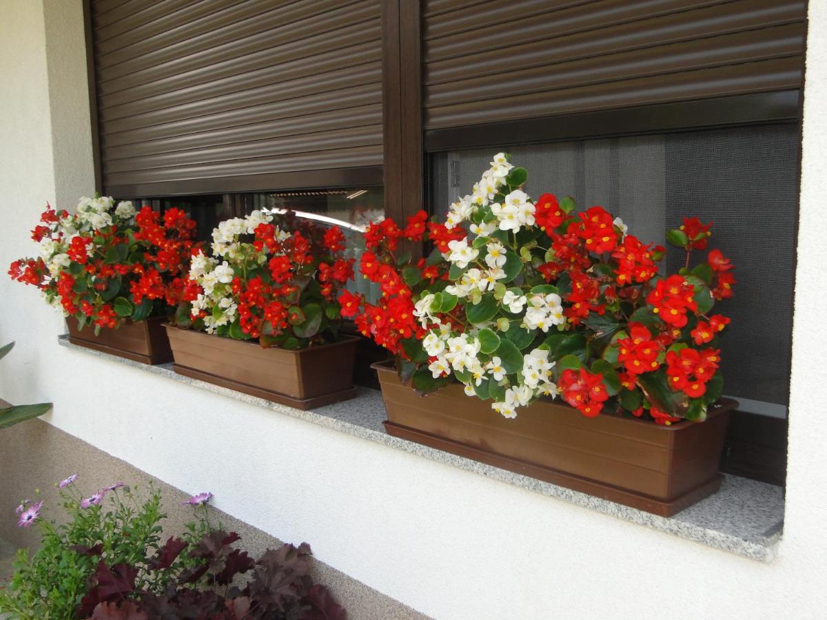 Apartma Jezero - Housity