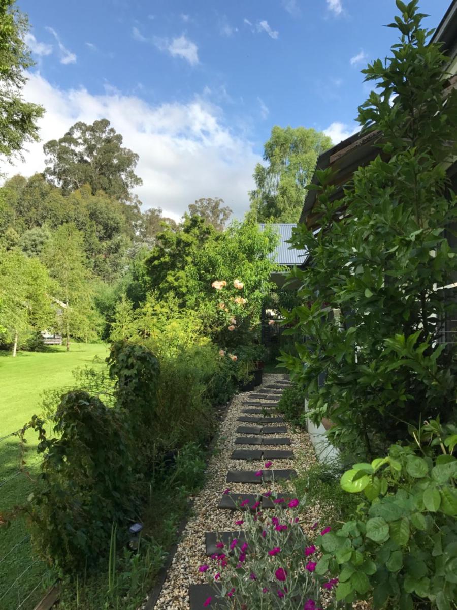 Goldberryaccommodation - Housity