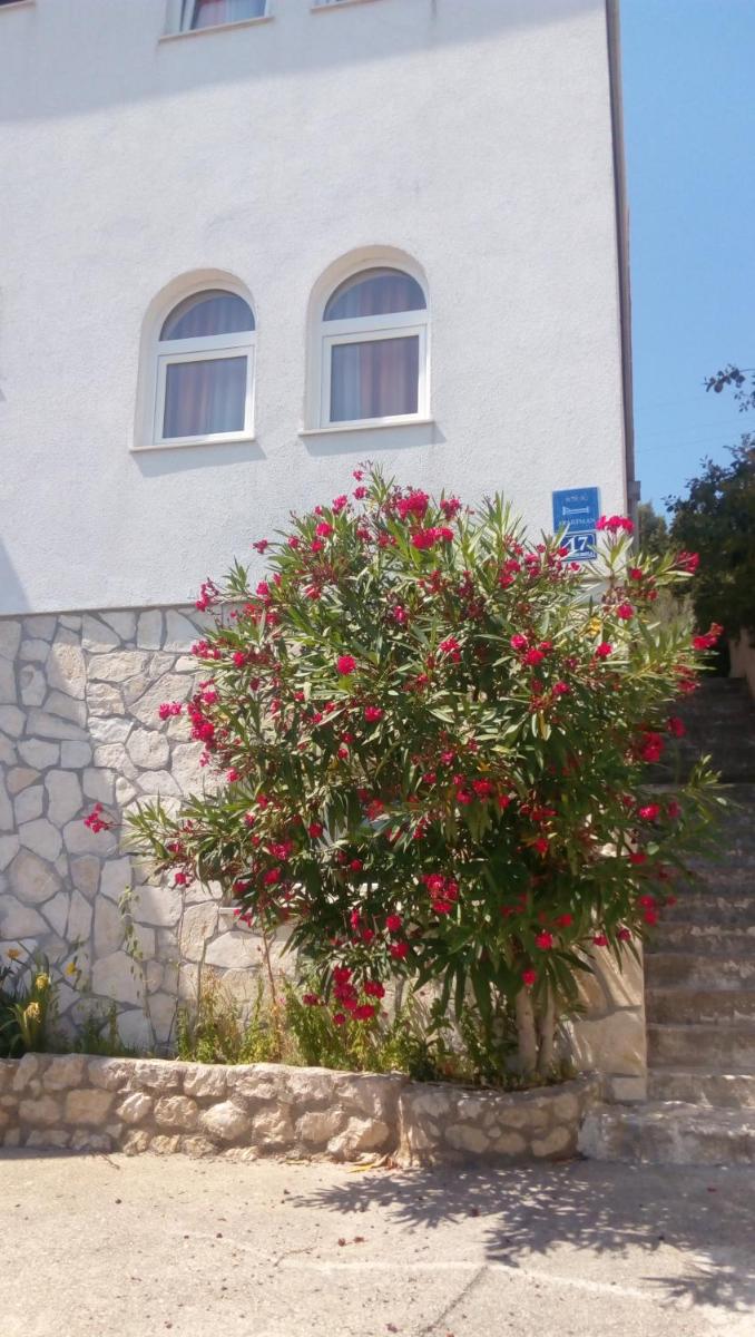 Apartments Rosa - Housity