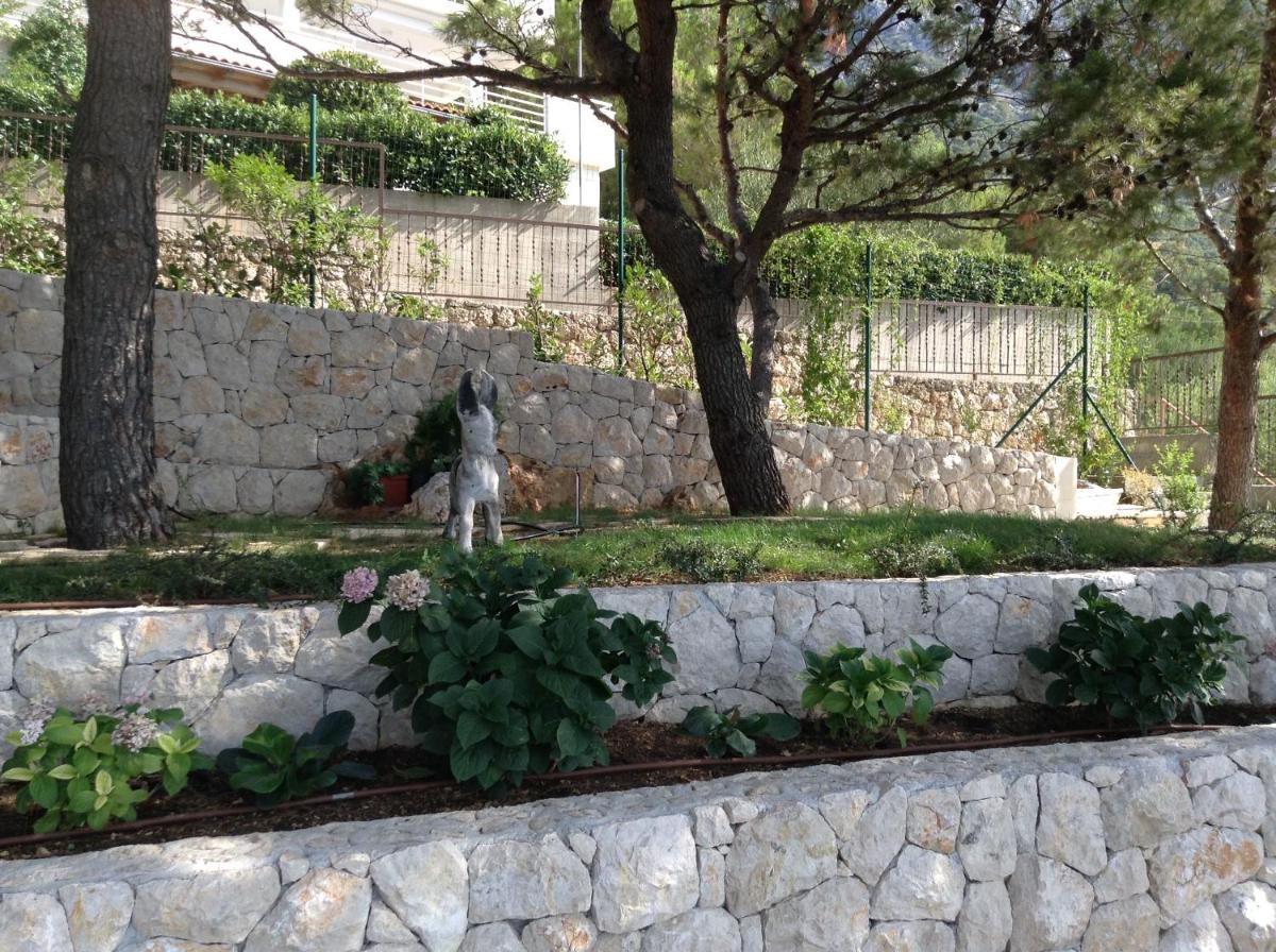 Apartments Vila Oksana - Housity