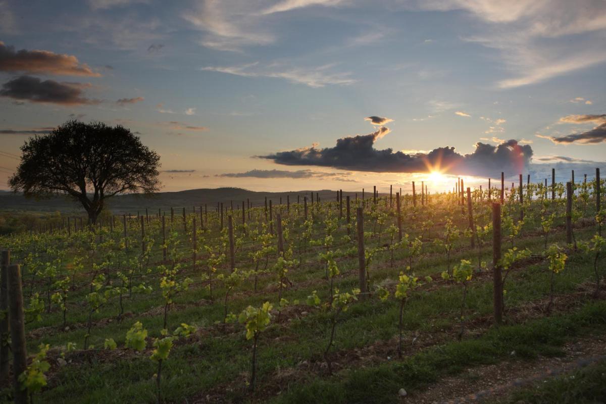 Agriturismo Poggio al Sasso - Housity