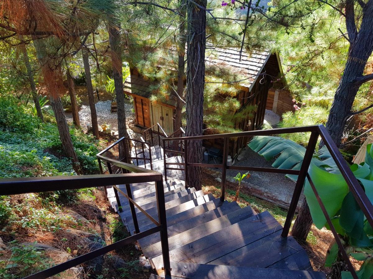 Chalet De Tahiti - Housity