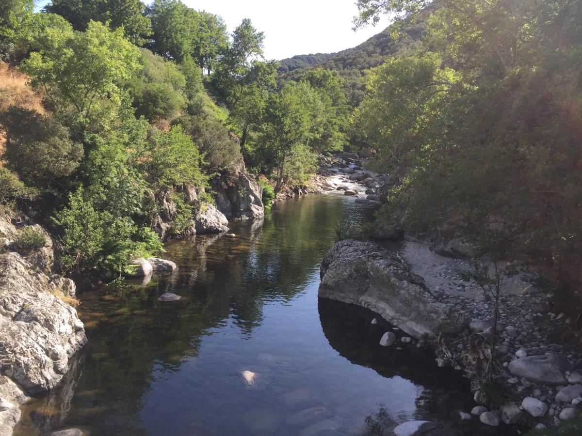 Hotel du Tourisme - Housity