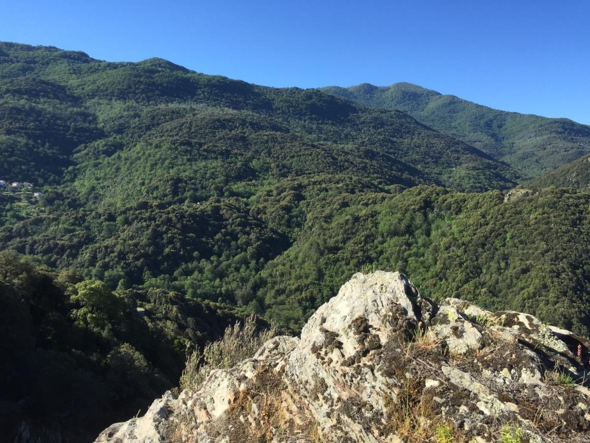 Hotel du Tourisme - Housity