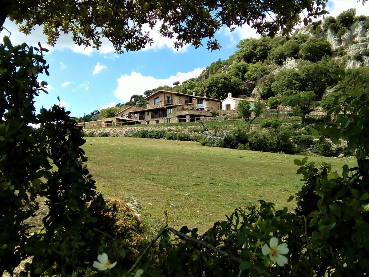 Font D'en Torres Solo Adultos - Housity