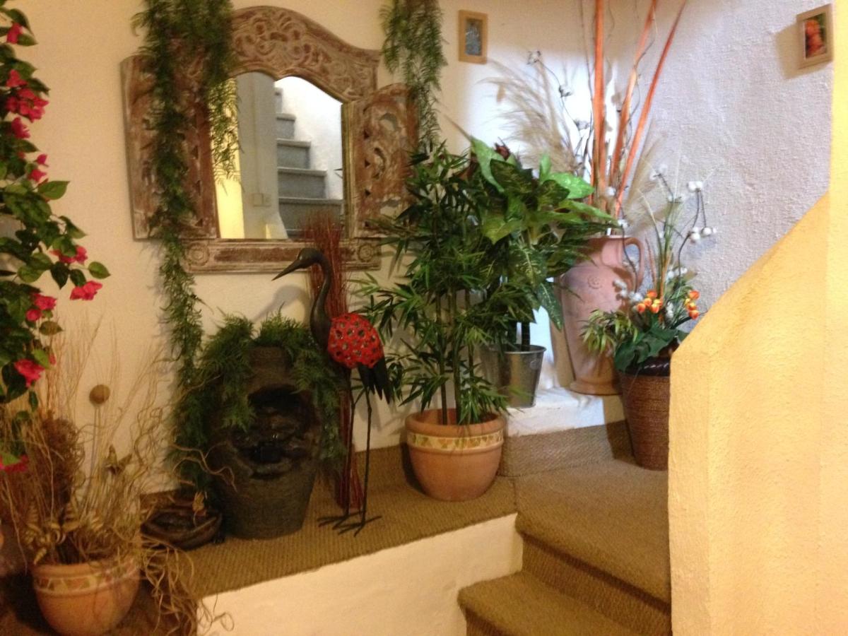Le Cosy Elne - Housity