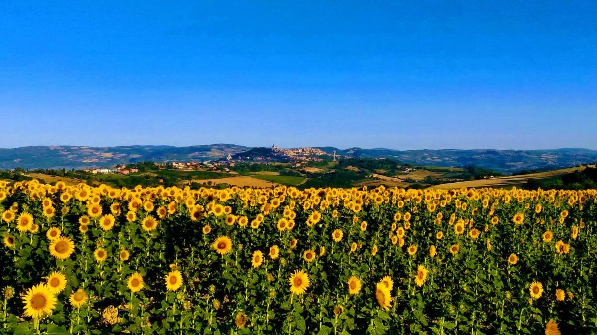 Il Focolare - Housity