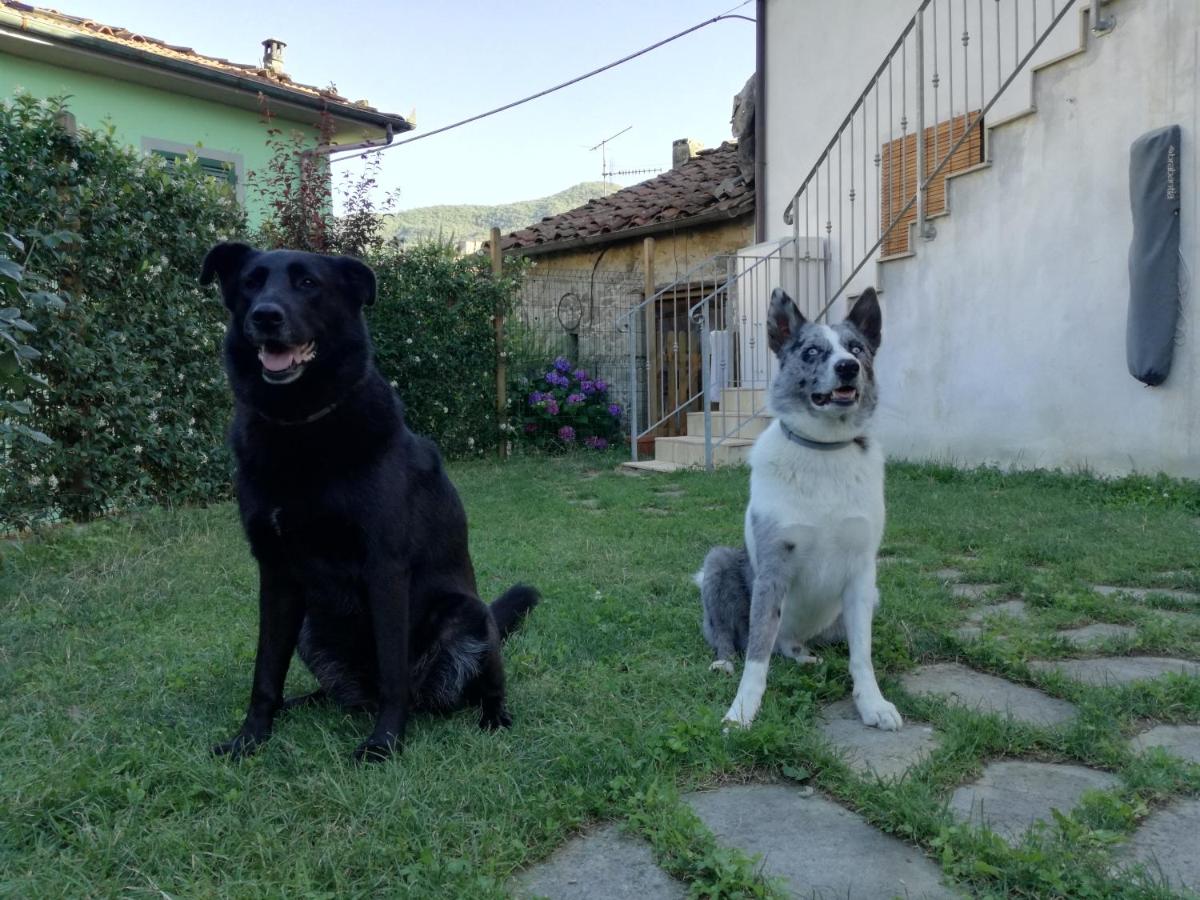 B & B Via di Mezzo - Housity