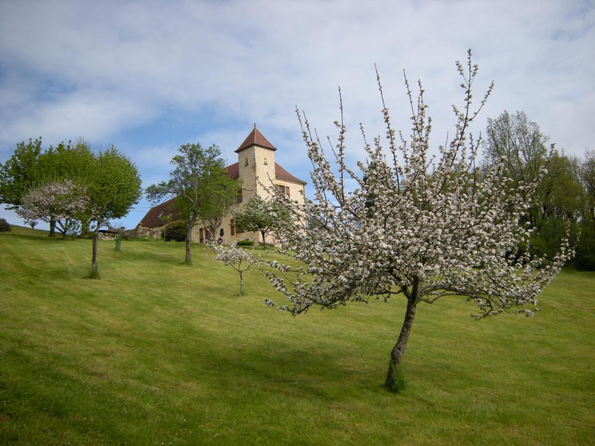 La Métairie des Songes - Housity