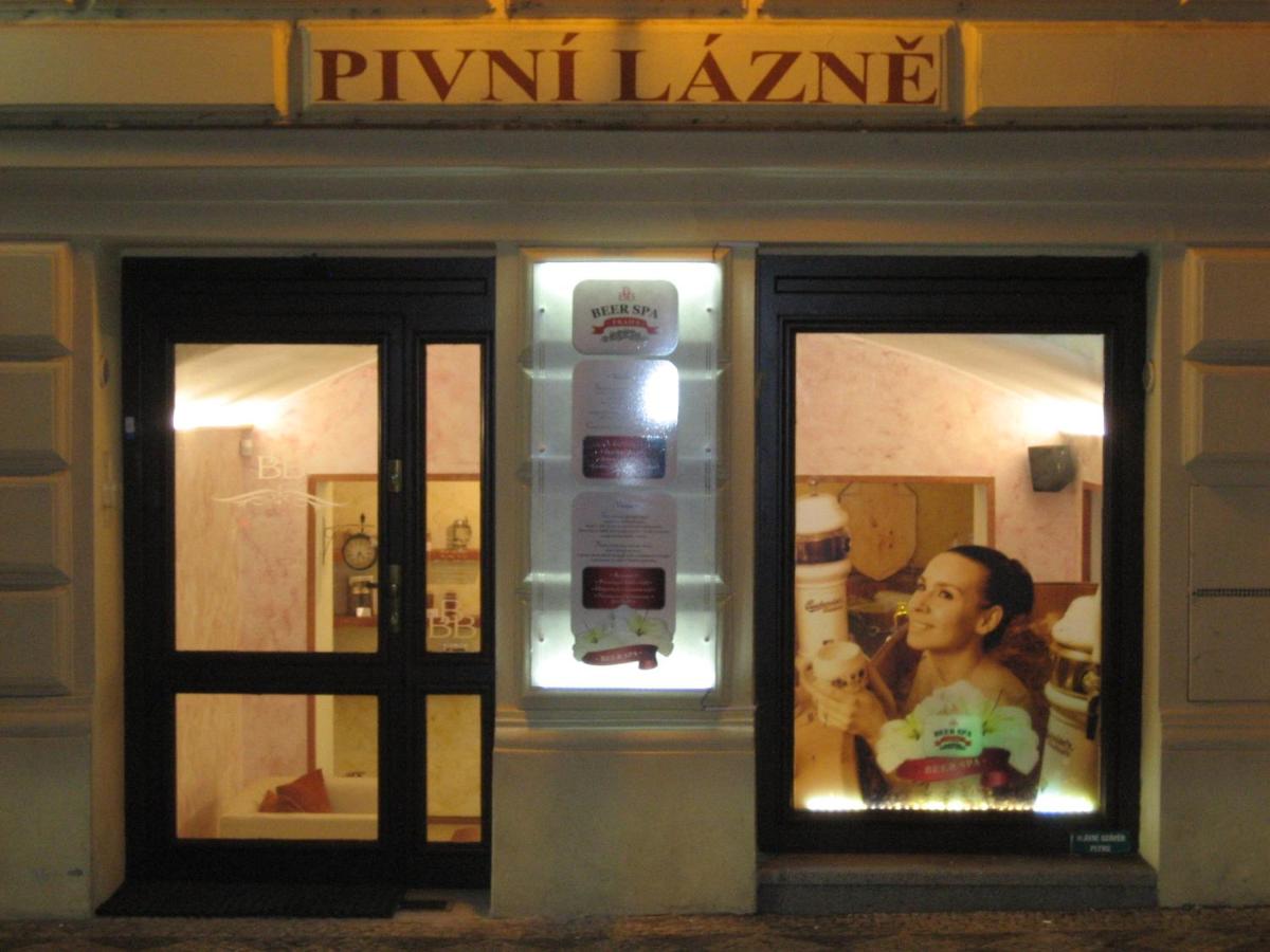 Apartment Beer Spa Praha - Housity