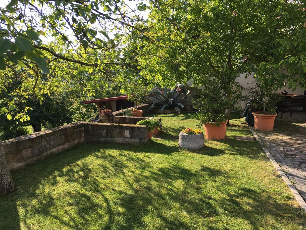 Apartments Klabjan - Housity