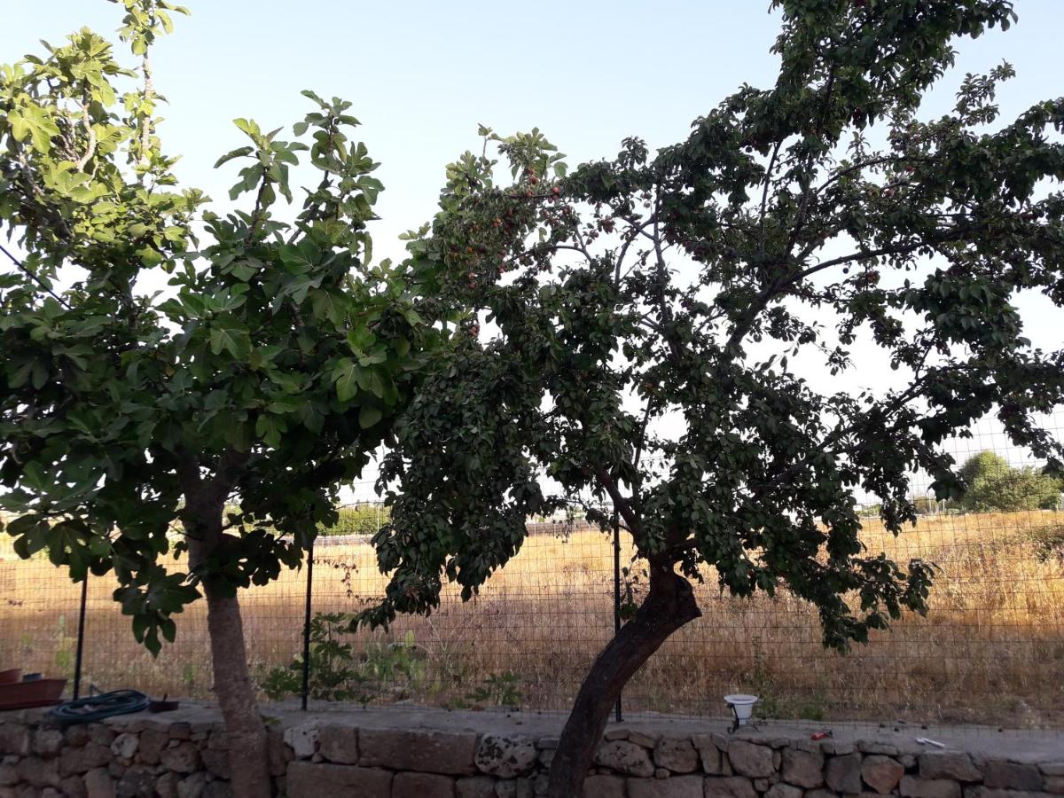 Casa Vacanza Campoli - Housity
