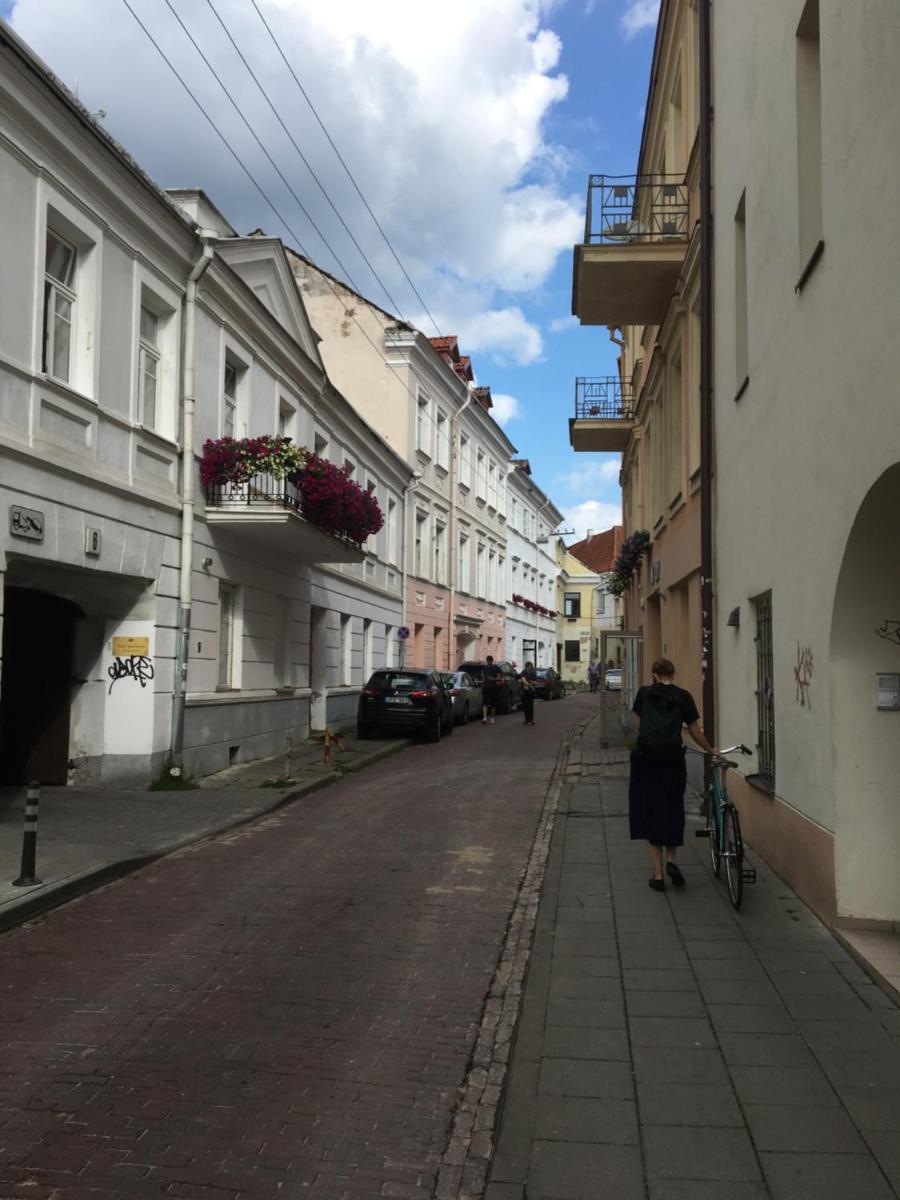 Skapas Street Vilnius - Housity
