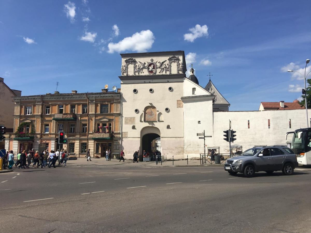 Vilnius Symphony Apartments - Housity