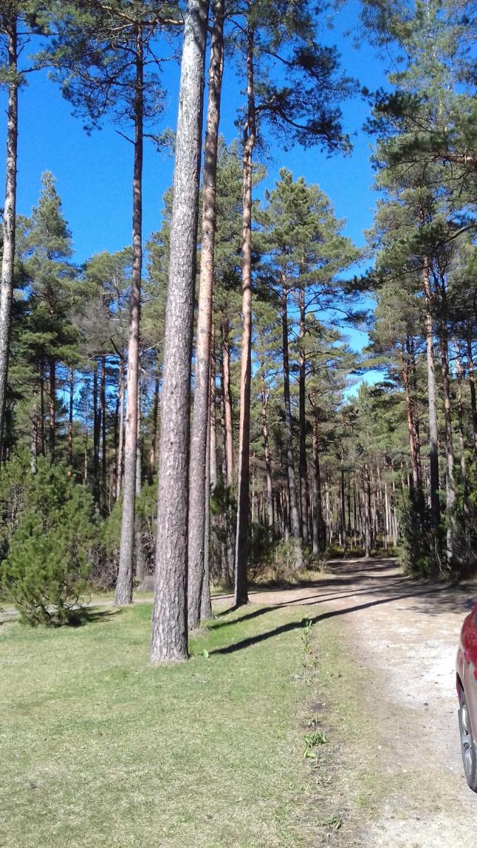 Roosi Holiday Home - Housity