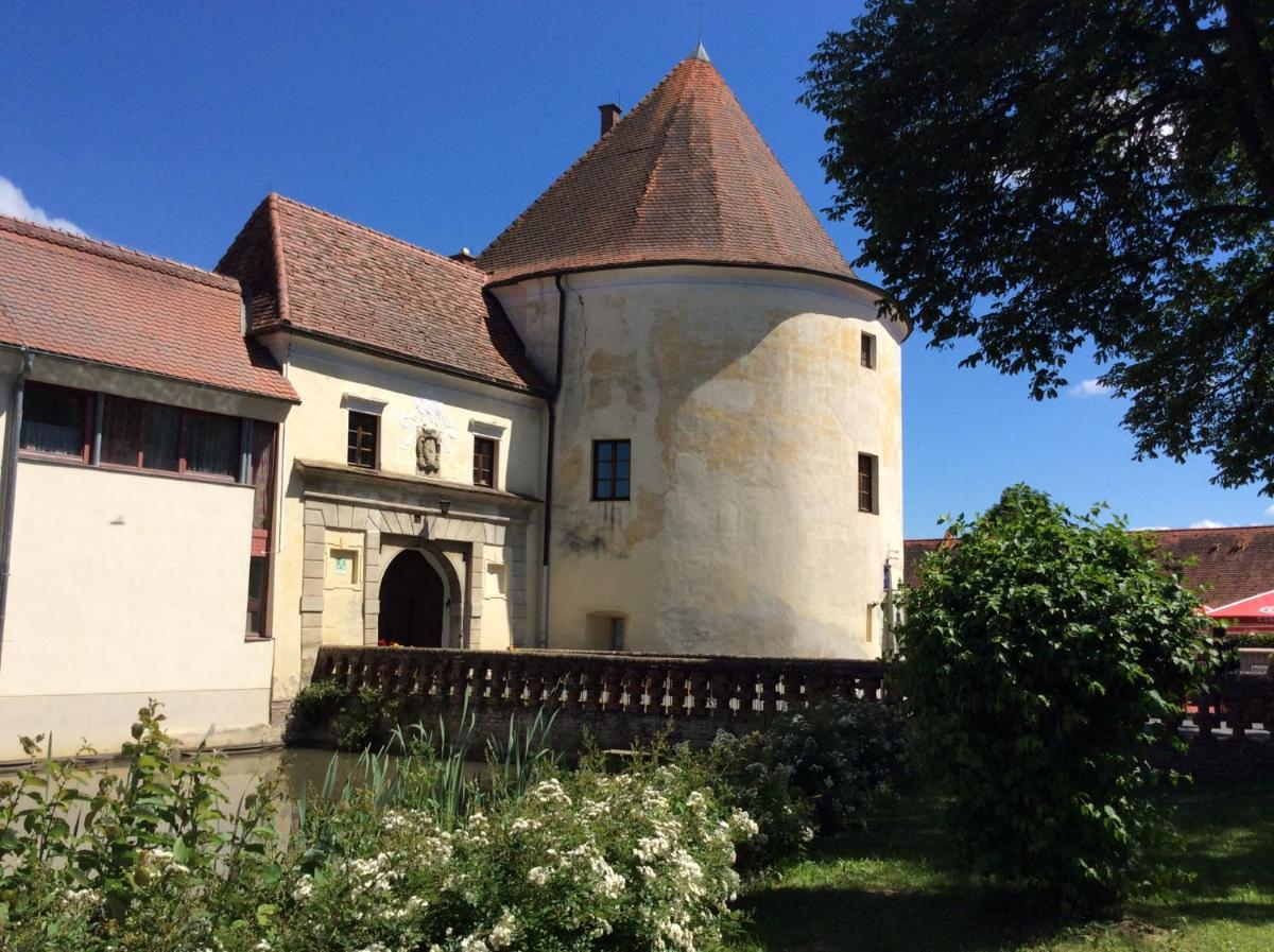 Ferienwohnung ALEX - Housity