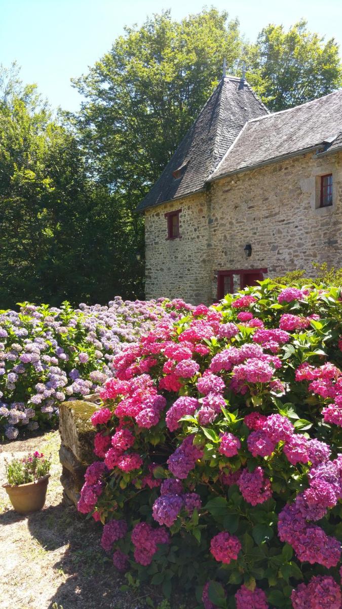 Chateau de Bellefond - Housity