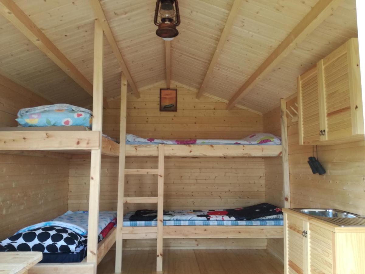 Tammispää Camping - Housity