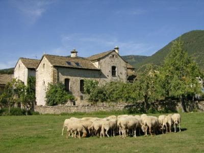 Casa Olivan - Housity