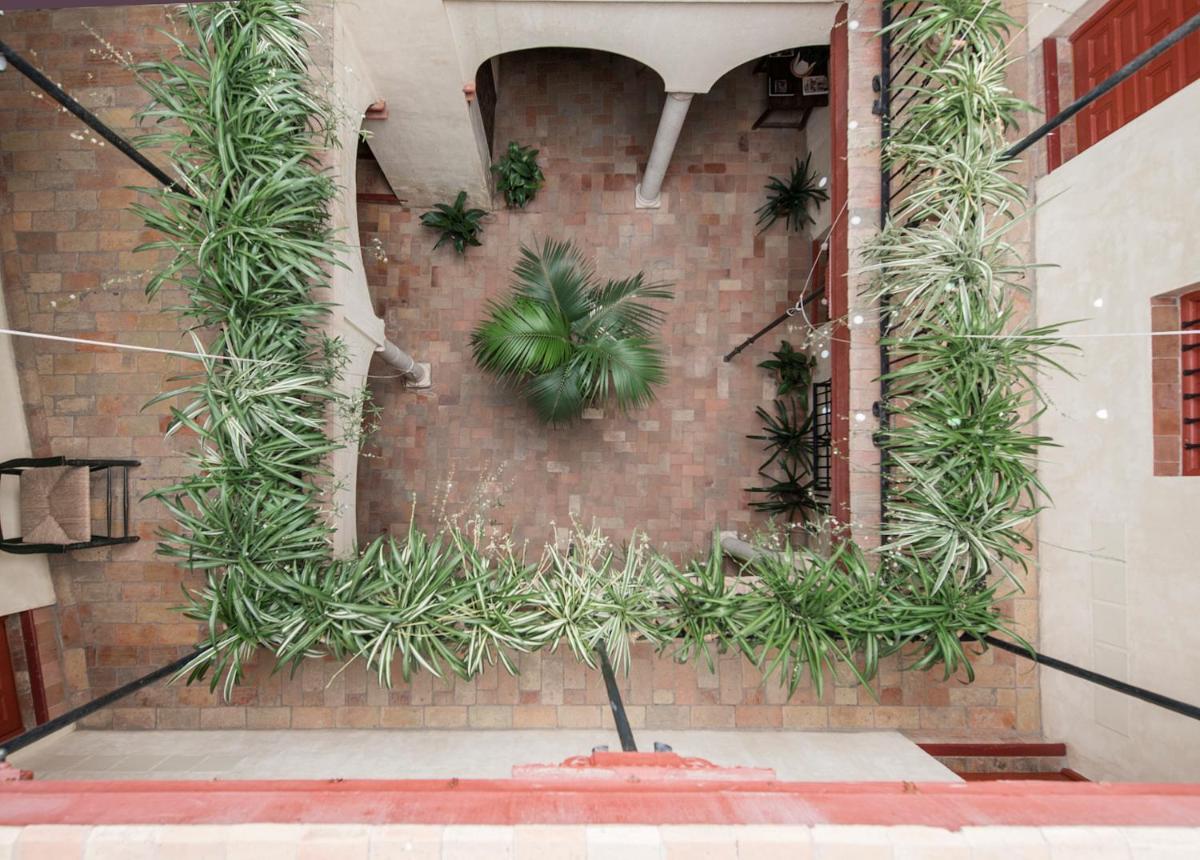 Jardín al aire libre en Hotel Las Casas de la Judería