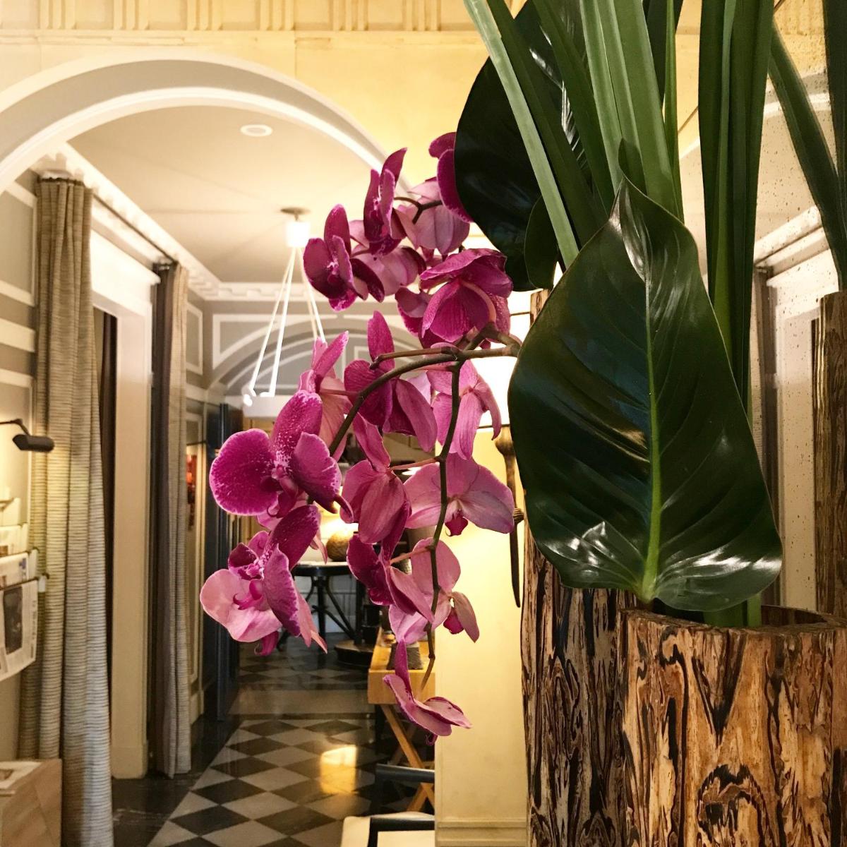 Hôtel Recamier - Housity