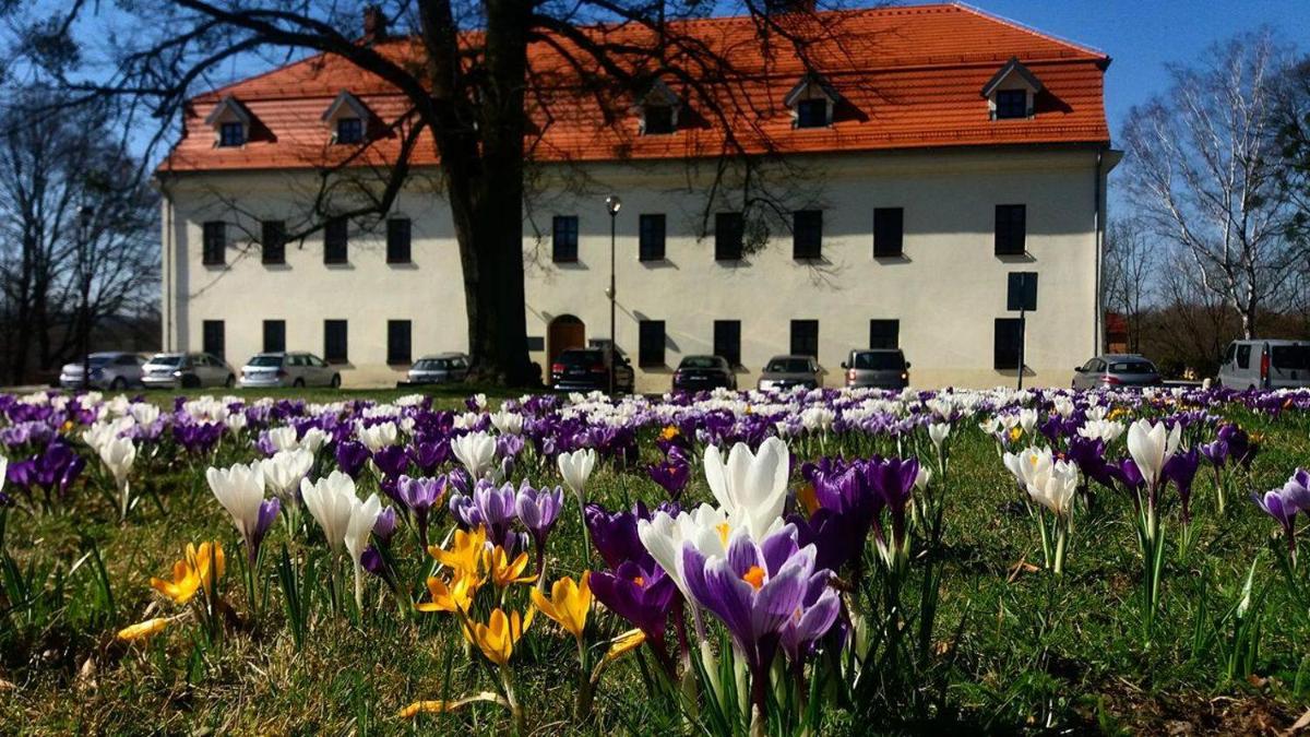 Zámek Havířov - Housity