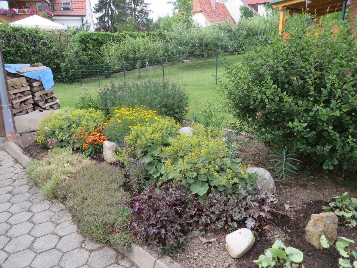 Apartment Deller Renate - Housity