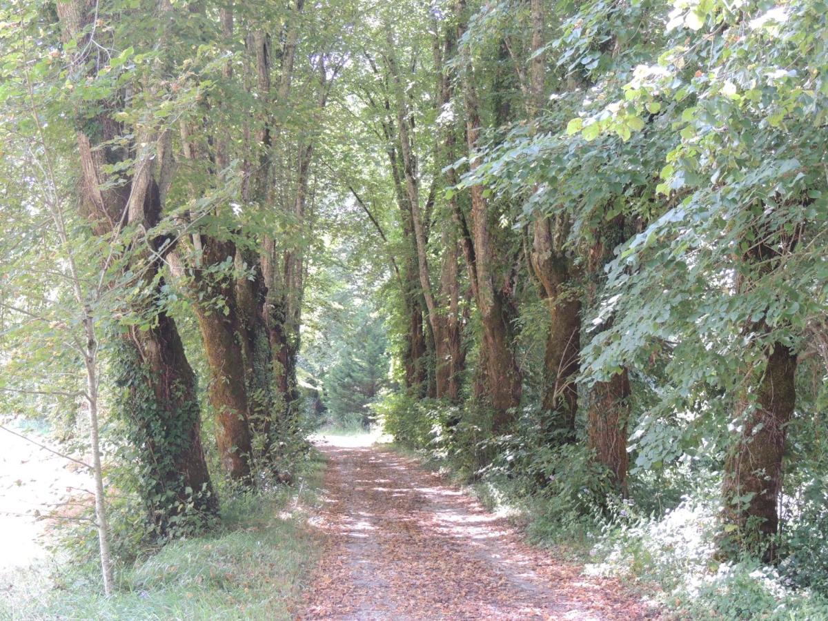 La Tour du Chambon - Housity