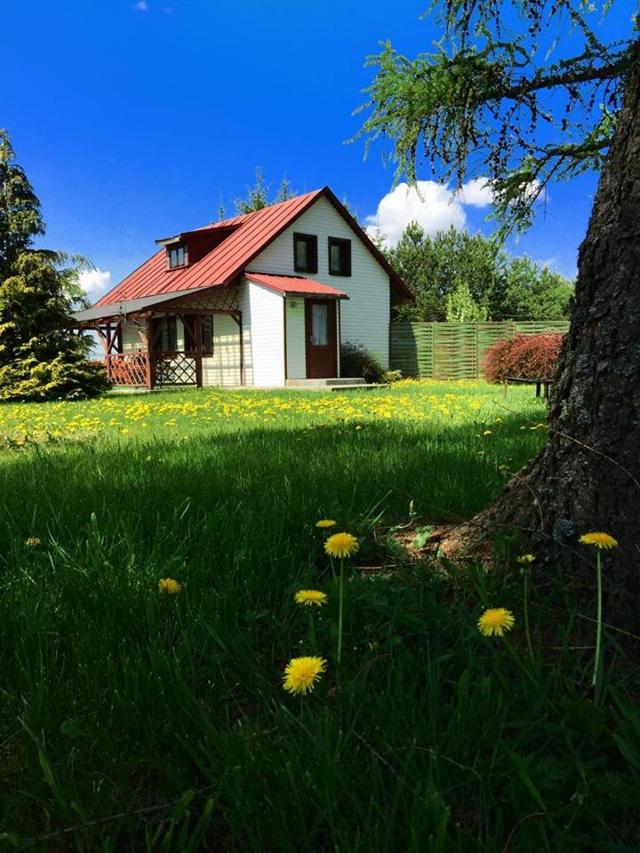 Agroturystyka Falinka - Housity