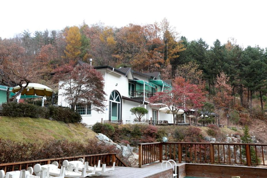 Pinearoma Pension - Housity