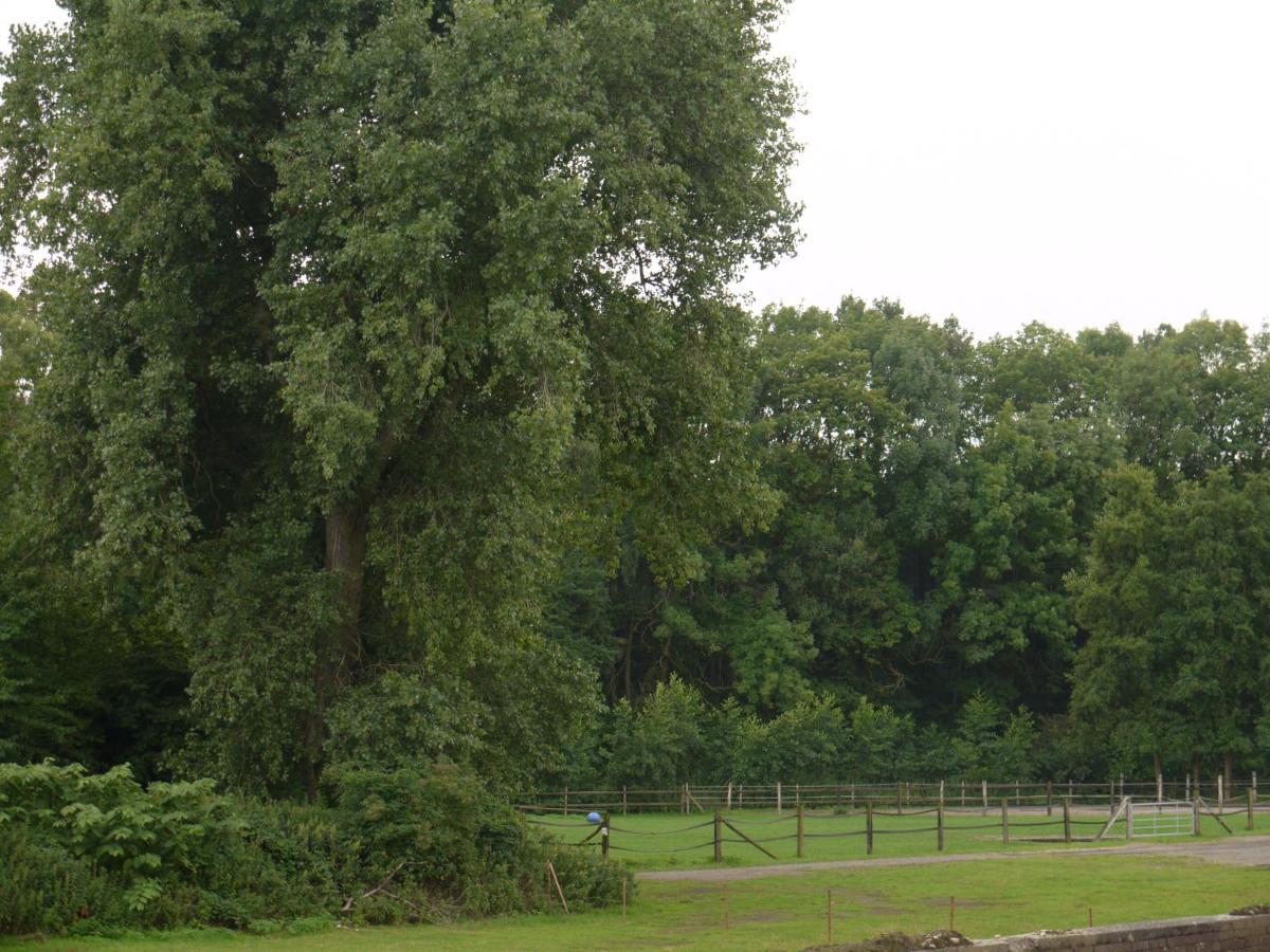 Ruhrstadtarena Hotel - Housity